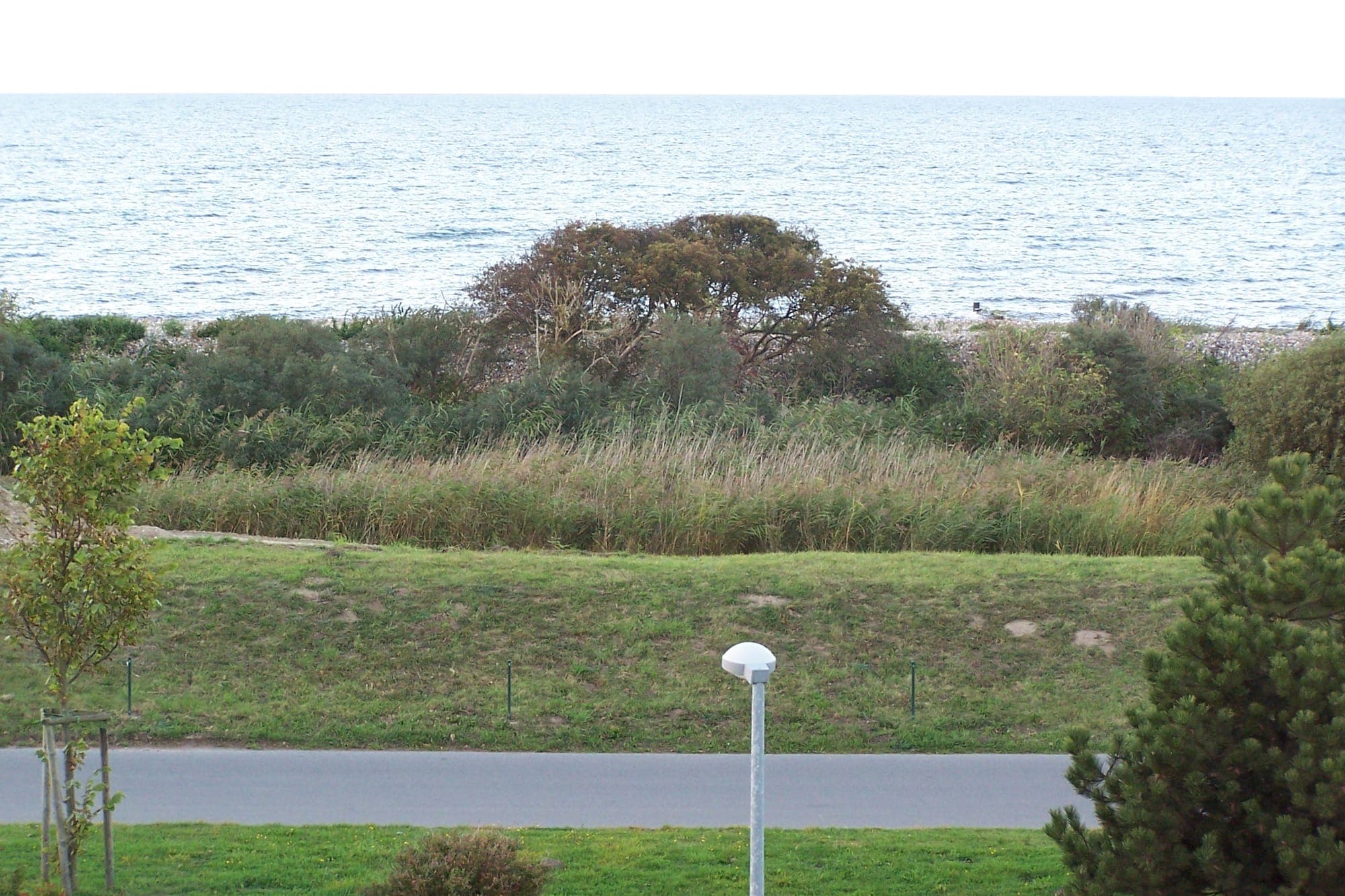 Deich mit Büschen und Blick auf die Ostsee
