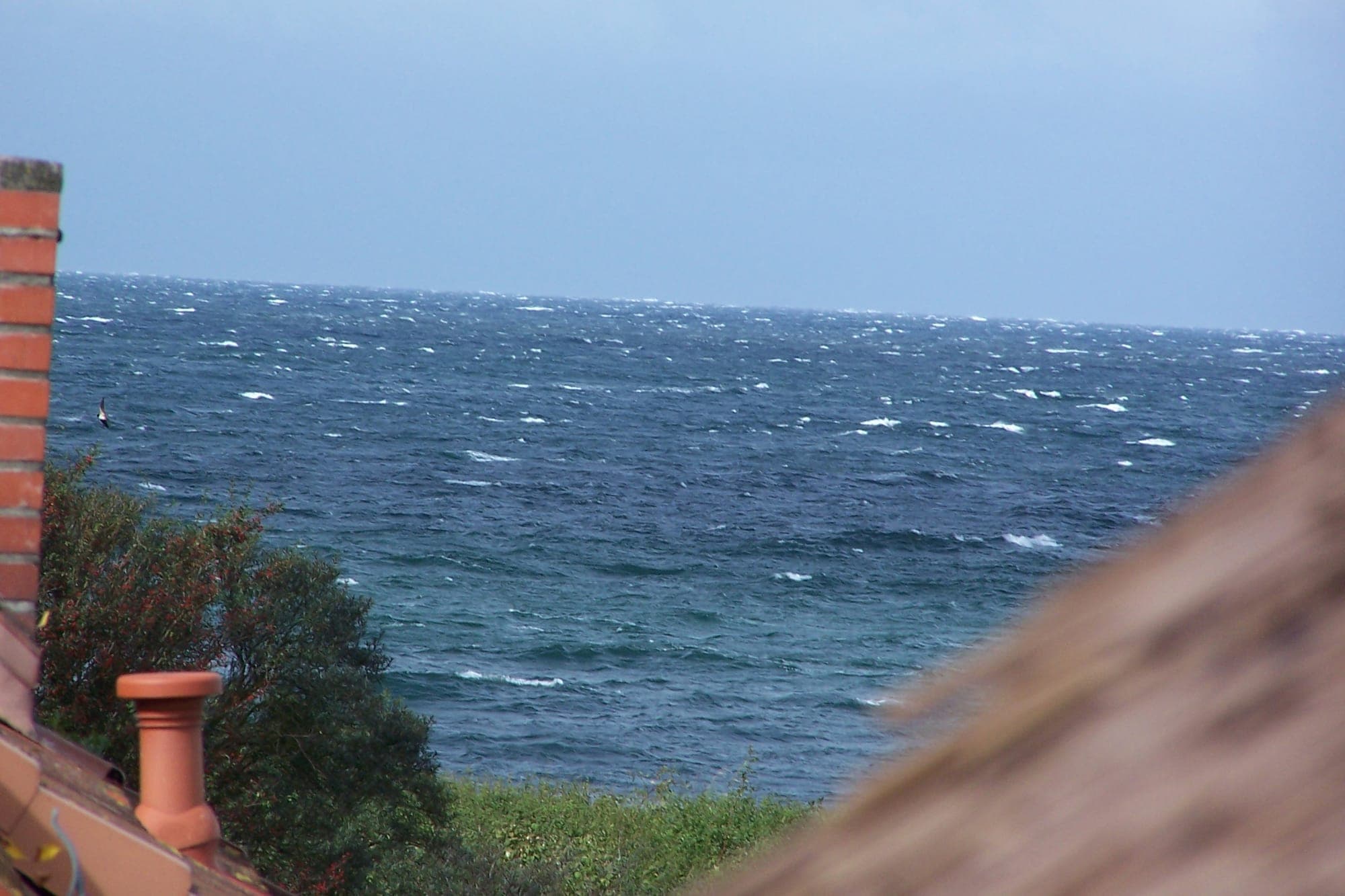 Bewegte Ostsee hinter einem Reetdach